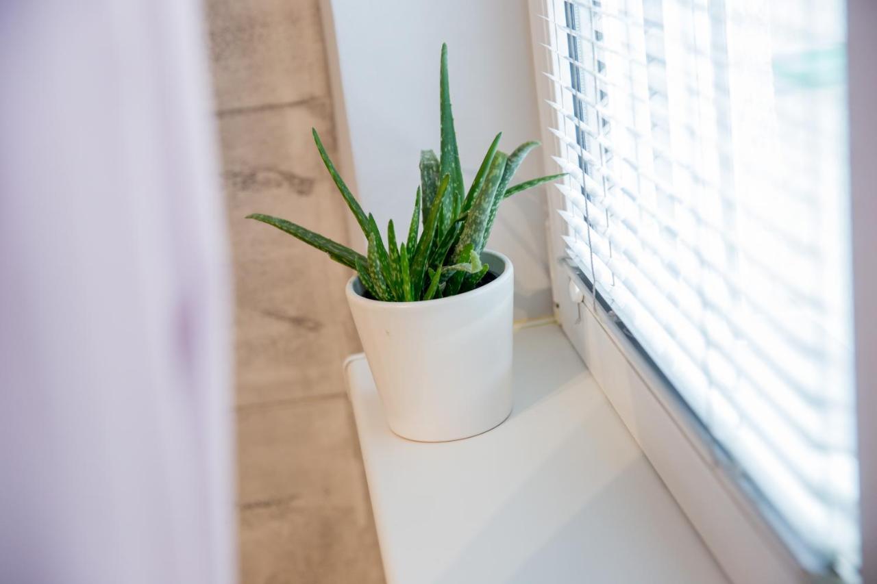 Apartment Studio Milena Subotica Buitenkant foto